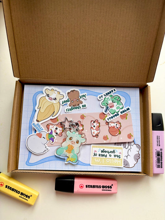 Mystery Box