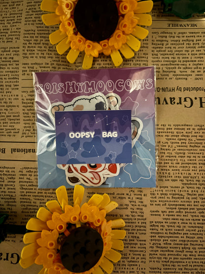Oopsy Bag